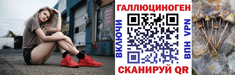 Псилоцибиновые грибы Psilocybine cubensis  mega tor  Короча 